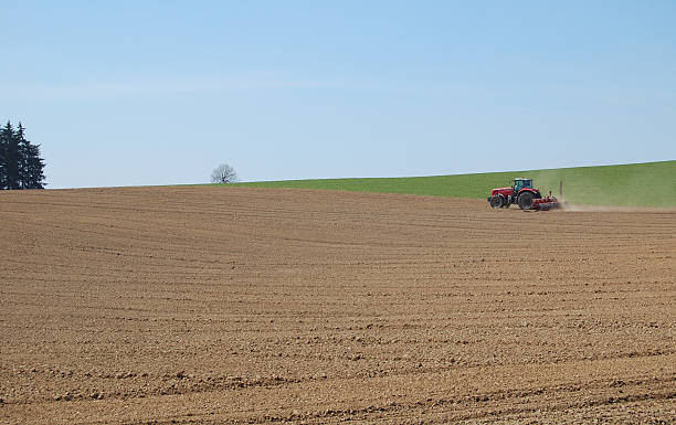 istock Tractor in the middle of work 146924890