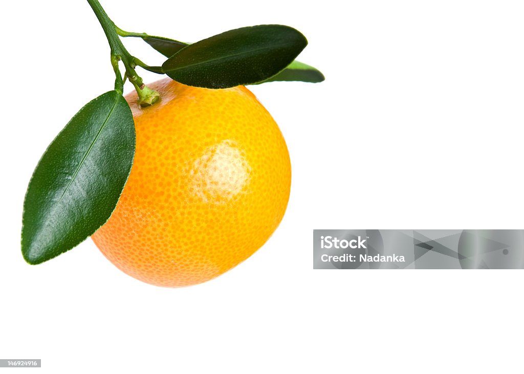Calamondin fruit with leaves isolated on white background Branch - Plant Part Stock Photo