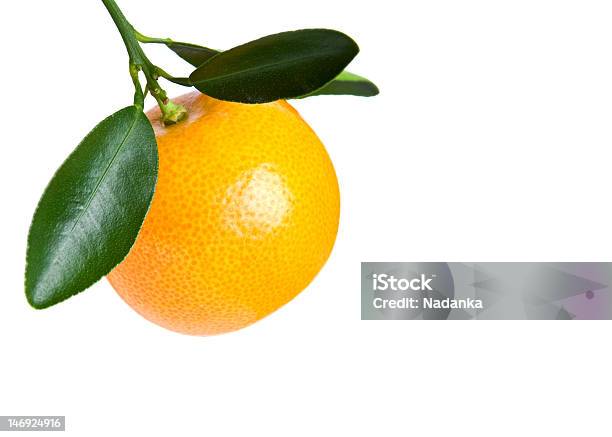 Calamondin Fruit With Leaves Isolated On White Background Stock Photo - Download Image Now