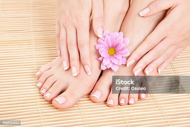 Female Hands And Feet With Manicured Nails And Lotus Flower Stock Photo - Download Image Now