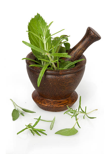 istock herbs with wooden mortar 146924931