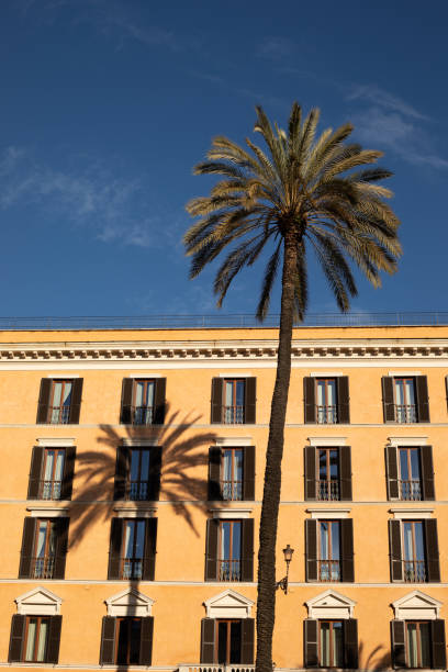 istock Roman Building Facade with Palm Tree 1469249847