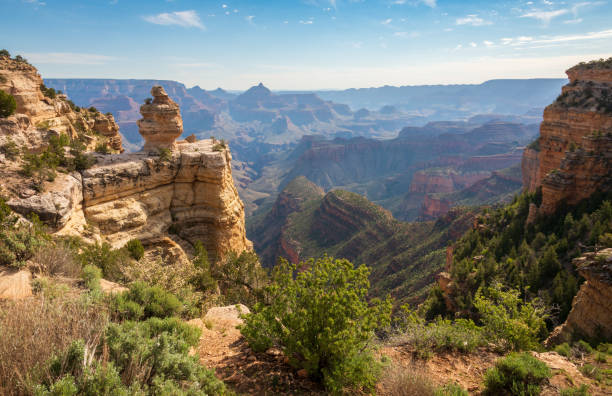 affacciato sul vasto bellissimo paesaggio del parco nazionale del grand canyon - south rim foto e immagini stock