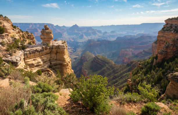 Overlook of the Vast Beautiful Landscape at Grand Canyon National Park Grand Canyon National Park's rugged landscape south rim stock pictures, royalty-free photos & images