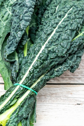 black kale, Italian kale, Tuscan kale, lacinato from organic farming