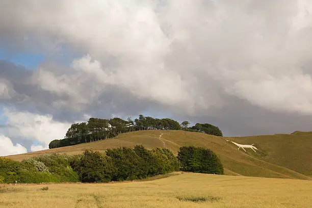 Cherhill White Horse on the hill near Avebury