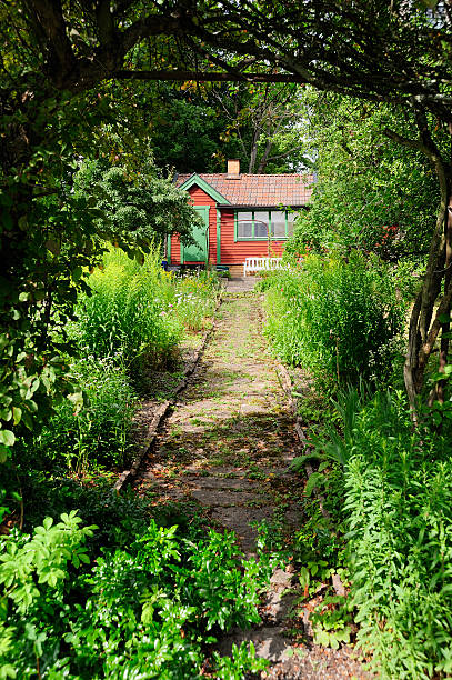 Worn green painted small wooden shed in woodland.