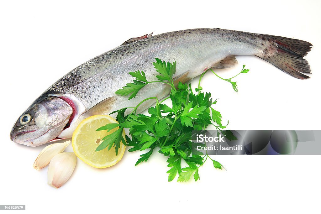 rainbow trout - Lizenzfrei Einzelnes Tier Stock-Foto