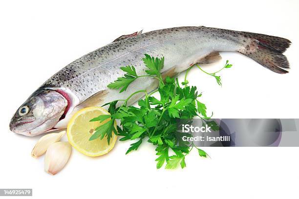 Rainbow Trout Stockfoto und mehr Bilder von Einzelnes Tier - Einzelnes Tier, Fisch, Fische und Meeresfrüchte