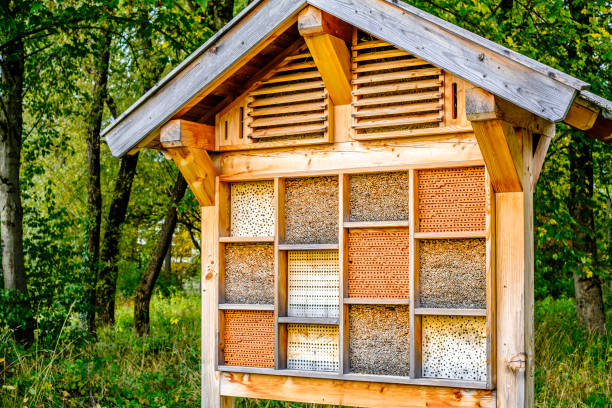 istock wooden insect house or hotel 1469255263