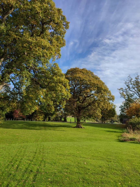 istock Beautiful nature of the park. 1469256076