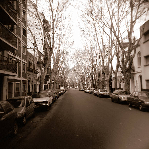 istock Palermo Soho in Buenos Aires 146925627