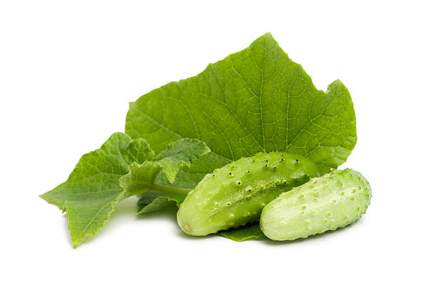 istock Fresh cucumber with leaves isolated 146925951