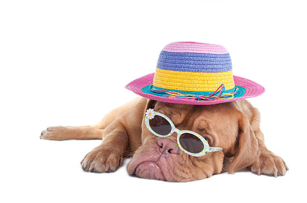 istock I like it sunny and you? 146926014