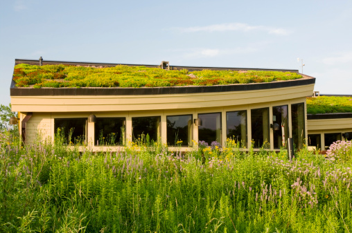 Photo of Lebanon Hills Visitor Center main building in Eagan Minnesota showing vegetation on green roof and garden in foreground