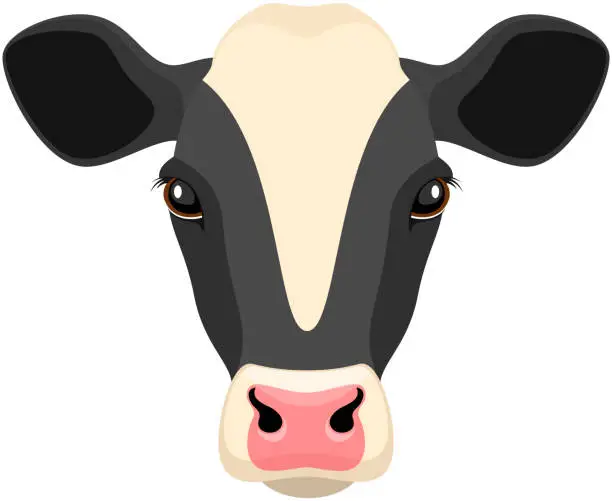 Vector illustration of Cow Face