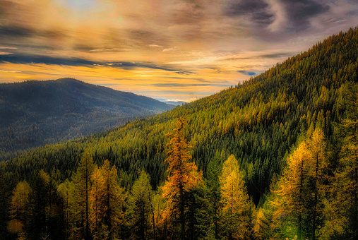A fiery orange evening at Sherman Pass, with the western larch adding some yellow and gold to the scene.