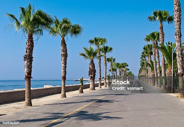Limassolstrandpromenadegasse Stockfoto und mehr Bilder von Palme - Palme, Uferpromenade, Esplanade-Theater