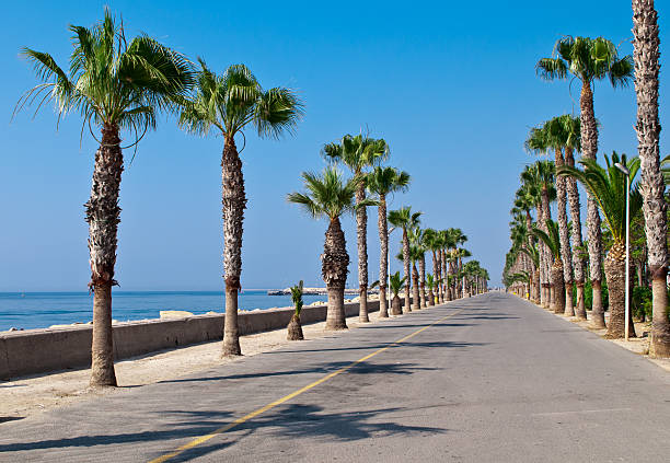 Limassol promenade alley