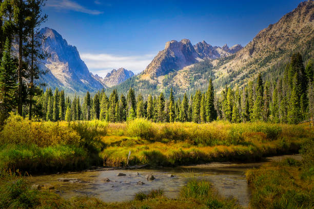 sawtooth wildnis - sawtooth national recreation area stock-fotos und bilder