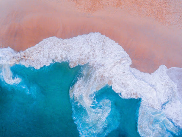 istock Paradise beach aerial viev 1469265328