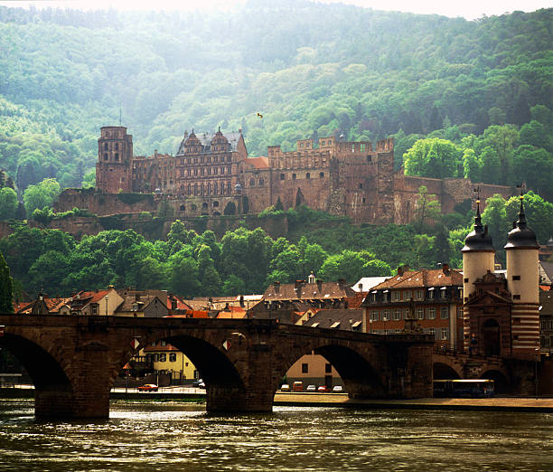 A riverside view to the castle in Heidelberg, Germany Heidelberg, Germany heidelberg germany photos stock pictures, royalty-free photos & images