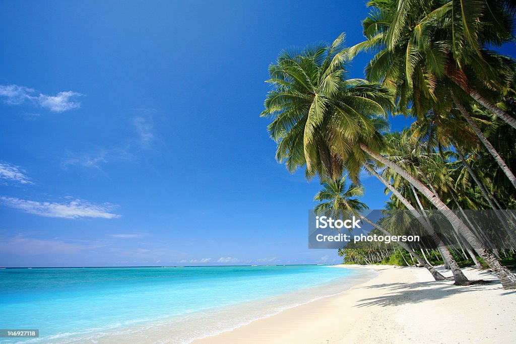 Playa de isla paraíso tropical perfecto - Foto de stock de Playa libre de derechos