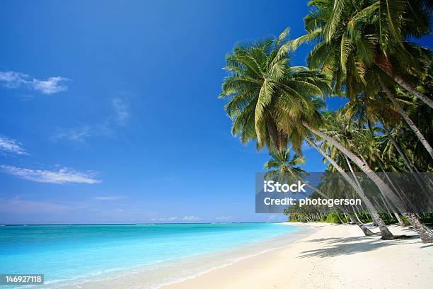 Playa De Isla Paraíso Tropical Perfecto Foto de stock y más banco de imágenes de Playa - Playa, Isla Grande de Hawái - Islas de Hawái, Islas de Hawái