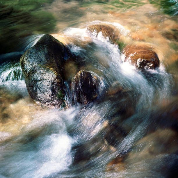 istock Stream in Giant Mountains, Krkonose,Czech Republic 146927132