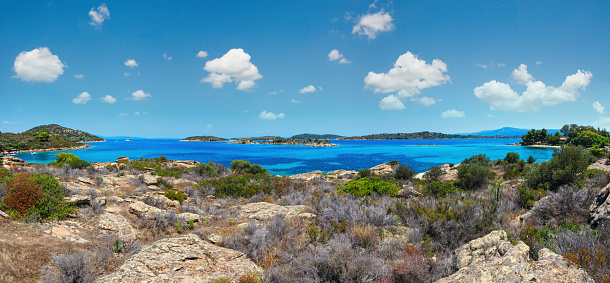 Galapagos coral reef by Seymour North Island beach for snorkeling, Galapagos Islands, Ecuador.