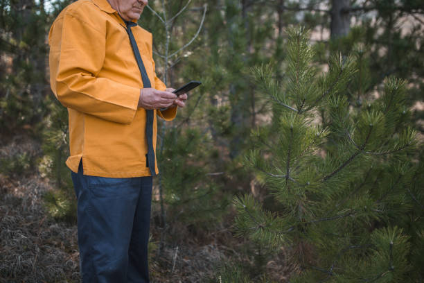 istock Unrecognizable man using a mobile phone while standing in the middle of a pine forest 1469282341