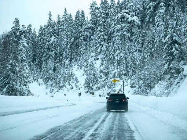 szeroki widok na złe warunki drogowe w górach kaskadowych. - north cascades national park cascade range highway north zdjęcia i obrazy z banku zdjęć