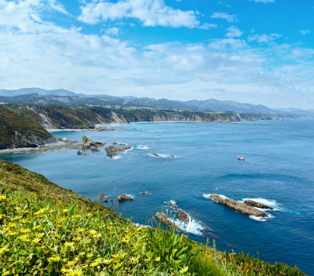 istock Summer blossoming Cape Vidio landscape (Asturian coast, Cudillero, Spain). 1469286760