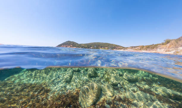 istock Split underwater view of La Speranza beach rocky seabed 1469289566