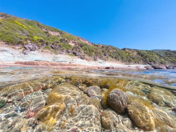 istock Split underwater view of La Speranza beach on a sunny da 1469289945