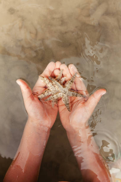istock Hand holding star fish in the water 1469290238