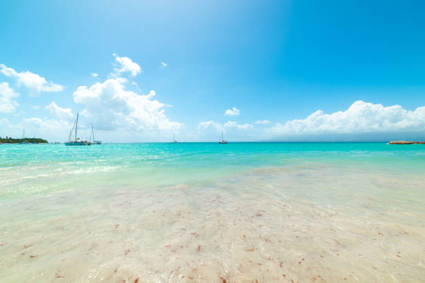 istock Turquoise water in La Datcha beach in Guadeloupe 1469296507