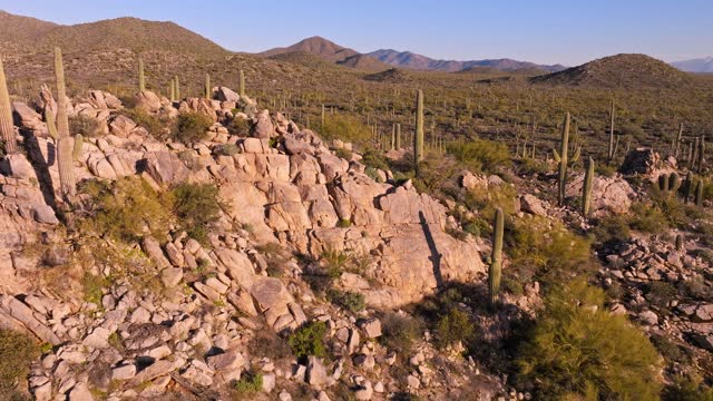 Sunset flight over hilly cactus forest