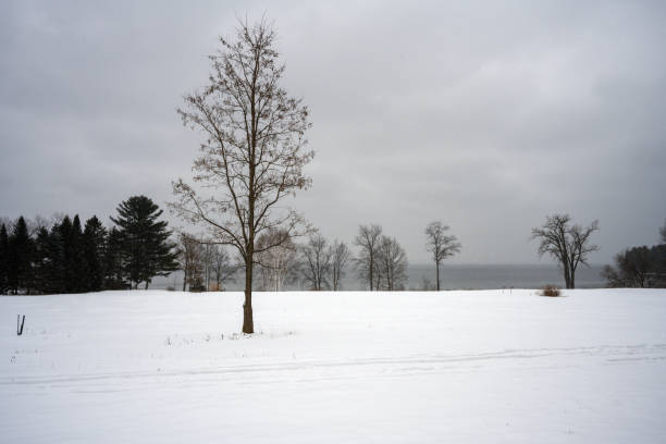 A picture photographed around High Park area of Toronto, Ontario, Canada, at a snowy day in Winter.