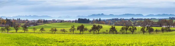 Autumn landscape, panorama, banner - view of the surroundings of the town of Ebersberg against the backdrop of the Alps, Upper Bavaria, Bavaria, Germany
