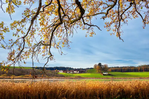 Autumn landscape - view of the Egglburg Lake near the town of Ebersberg, next to Munich, Bavaria, Germany