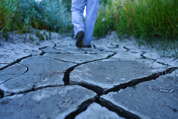 istock Man Walking Away on Cracked Mud 1469306125