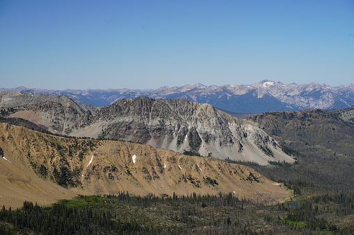 The beautiful Wasatch mountains in Utah.  There is grass and red flowers in the foreground.  The idyllic mountain peaks are near Park City, Utah.