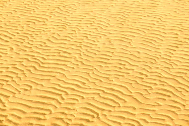 Golden yellow sand dunes background