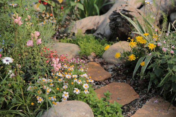istock a Spring time in domestic garden. Hong kong 1469313473