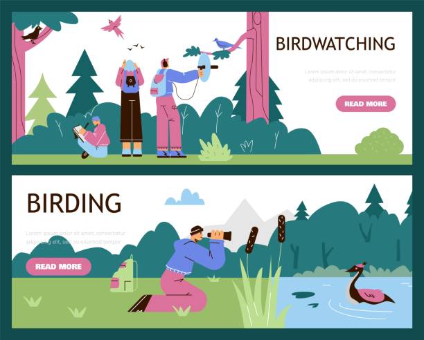 ilustrações, clipart, desenhos animados e ícones de jovens observando pássaros, conjunto de banners da web - ilustração vetorial plana. - observação de pássaros