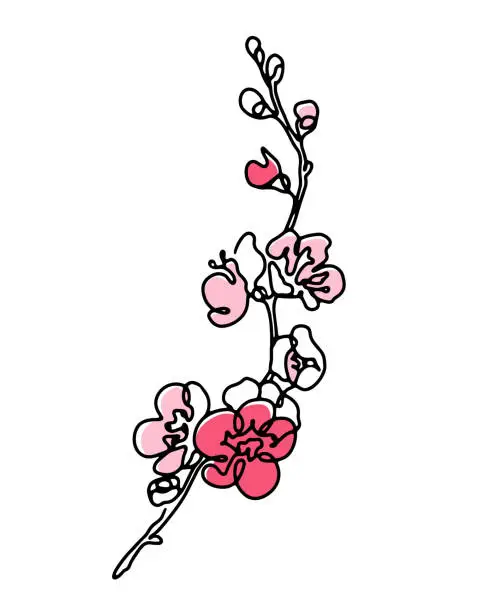 Vector illustration of Cherry blossom single line art with abstract pink color spots