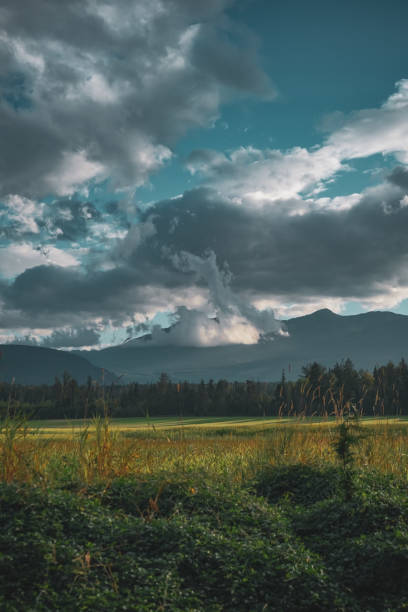 Chairlift/Ski Lift on Mount Washington, Courtenay/Comox Valley/Strathcona, Vancouver Island, BC, Canada stock photo