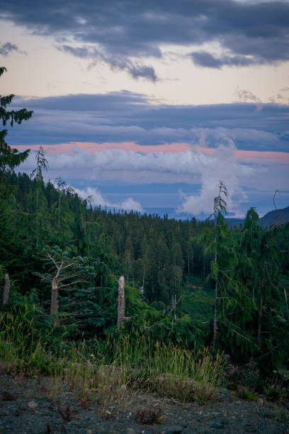 Chairlift/Ski Lift on Mount Washington, Courtenay/Comox Valley/Strathcona, Vancouver Island, BC, Canada stock photo