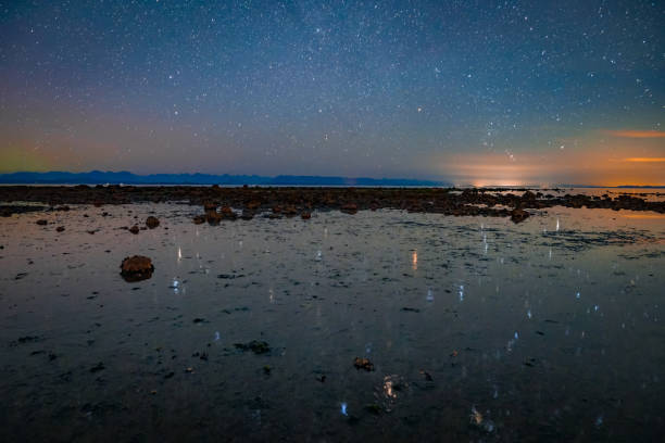 Night Star Reflection on the Beach in Campbell River, Vancouver Island, BC, Canada